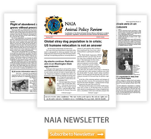 NAIA Newsletter