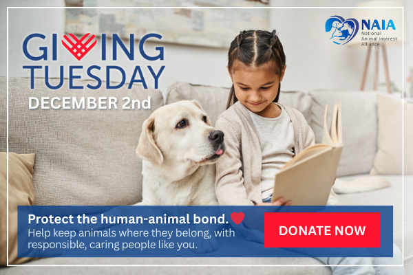 NAIA Giving Tuesday 2025