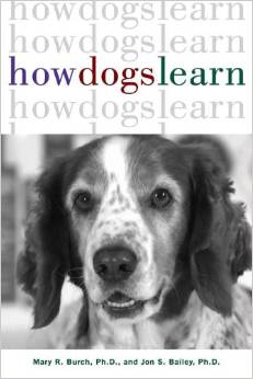 how dogs learn